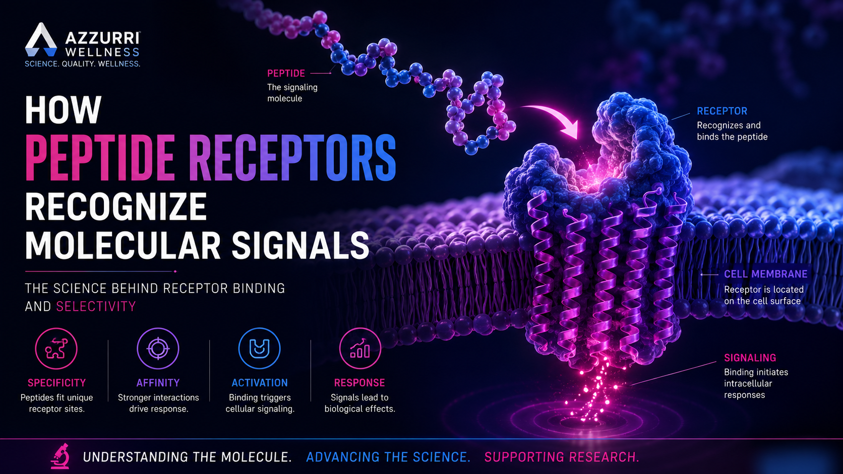 How Peptide Receptors Recognize Molecular Signals: A Guide to Receptor Binding and Selectivity
