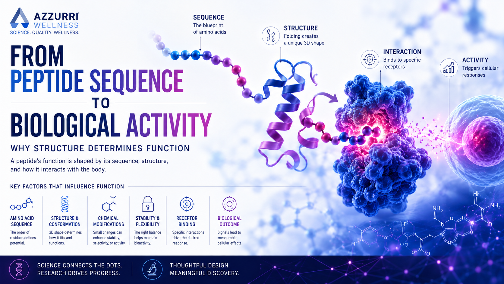 From Peptide Sequence to Biological Activity: Why Structure Determines Function