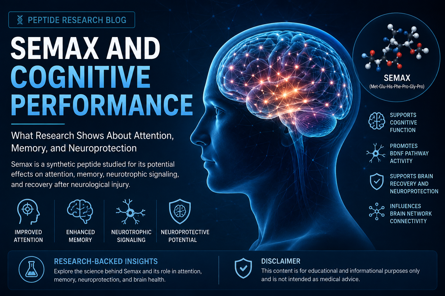Semax and Cognitive Performance—What Research Shows About Attention, Memory, and Neuroprotection