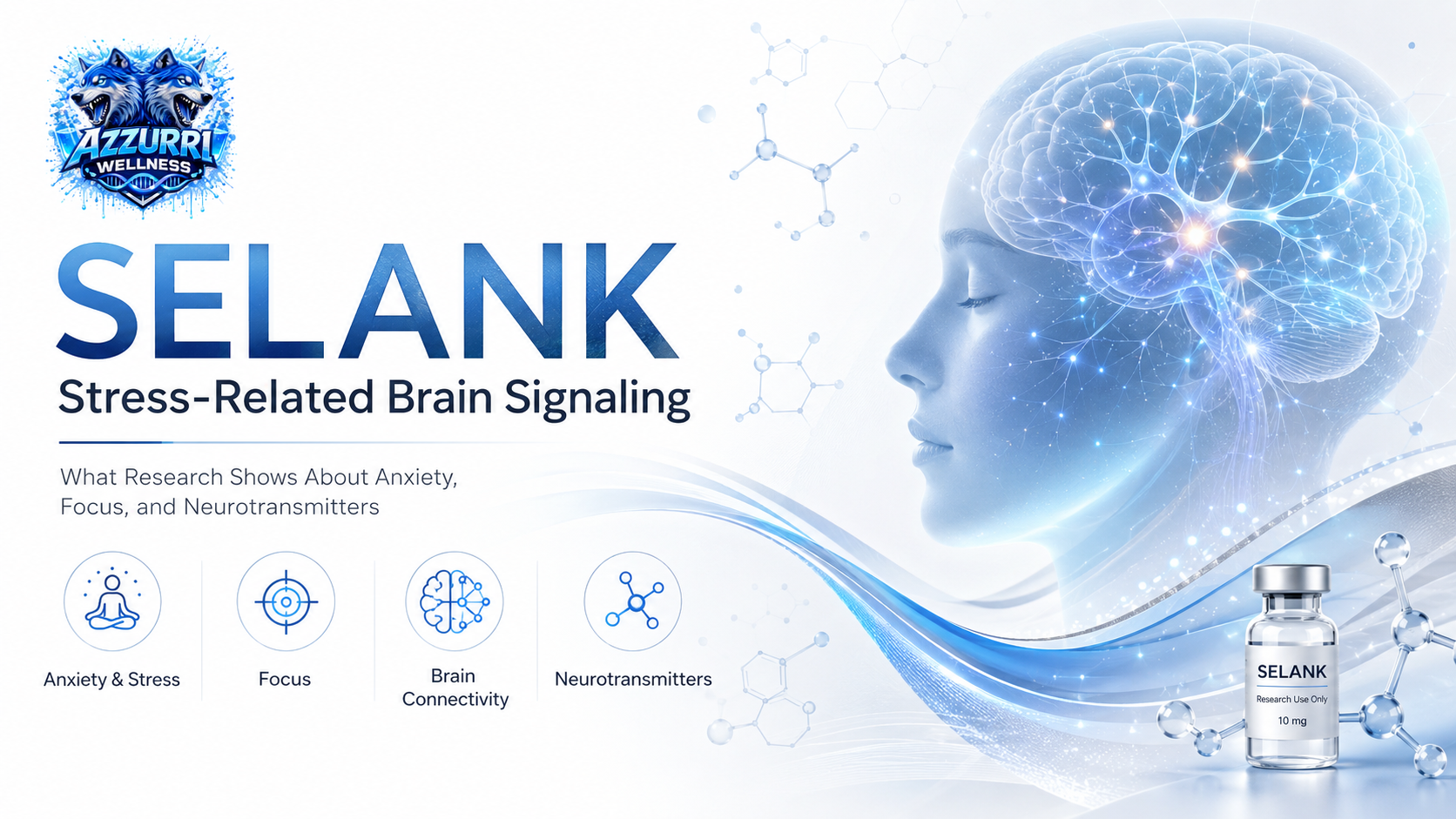 Selank and Stress-Related Brain Signaling—What Research Shows About Anxiety, Focus, and Neurotransmitters