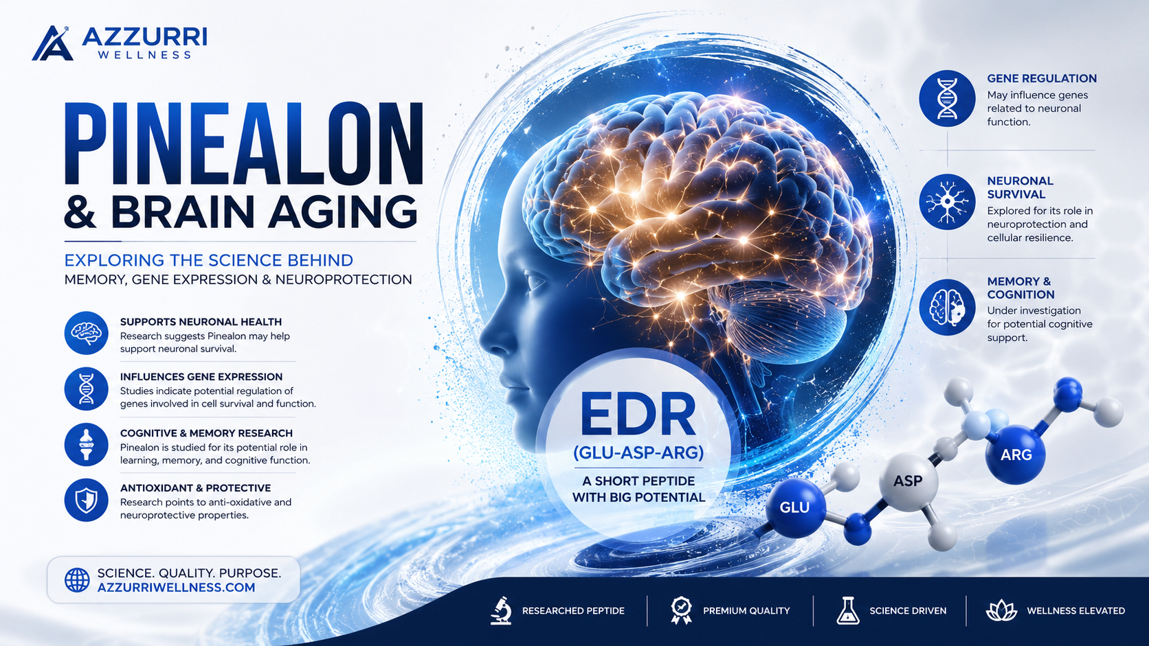 Pinealon and Brain Aging—What Research Examines About Gene Expression, Memory, and Neuroprotection