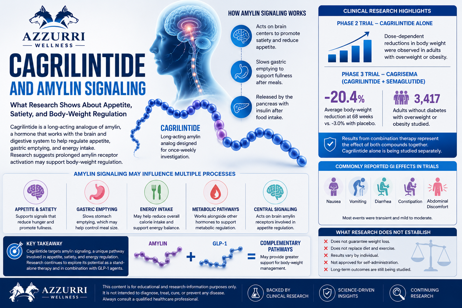 Cagrilintide and Amylin Signaling: What Research Shows About Appetite, Satiety, and Body-Weight Regulation