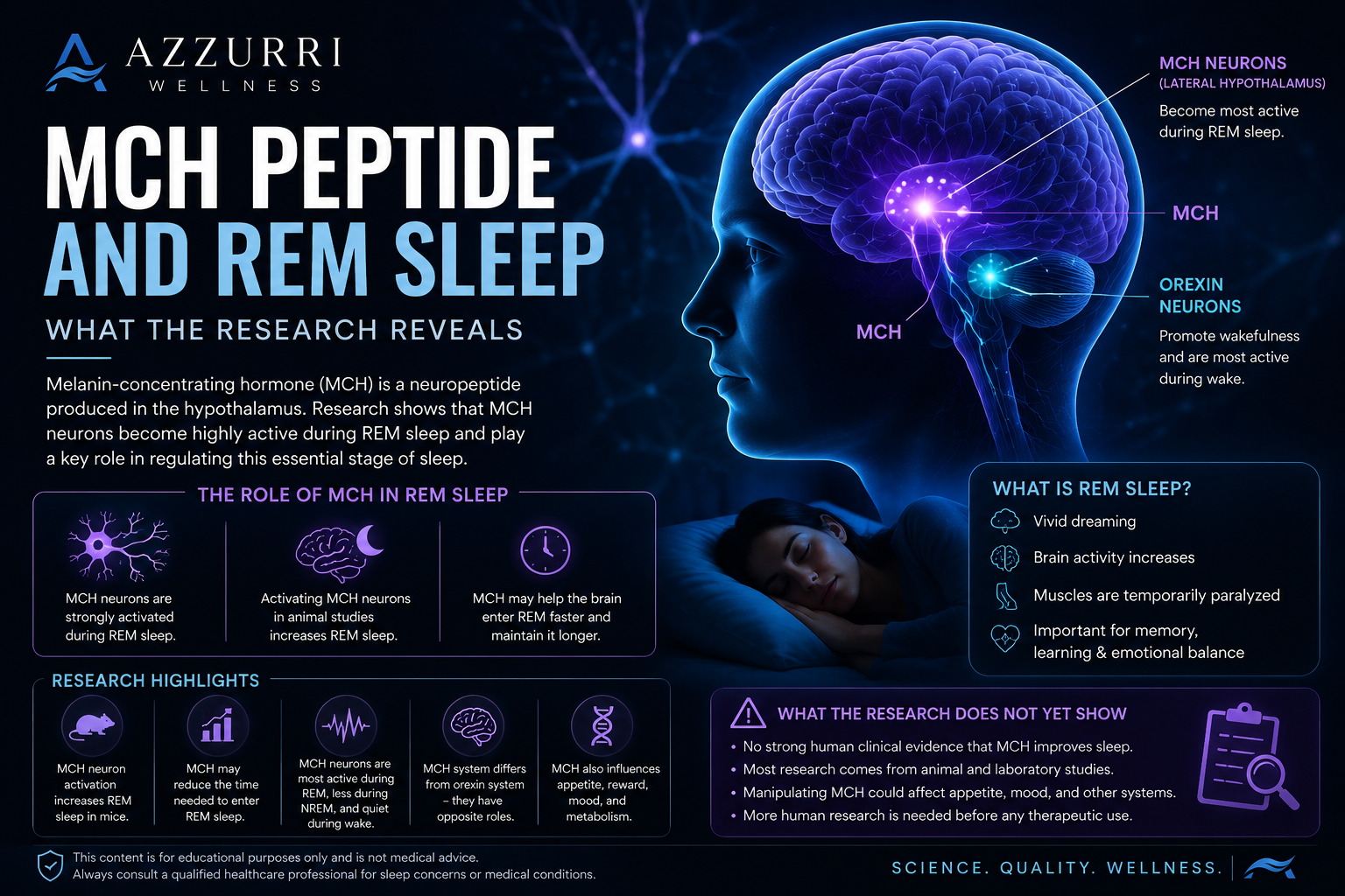 Melanin-Concentrating Hormone and REM Sleep—What the Research Reveals