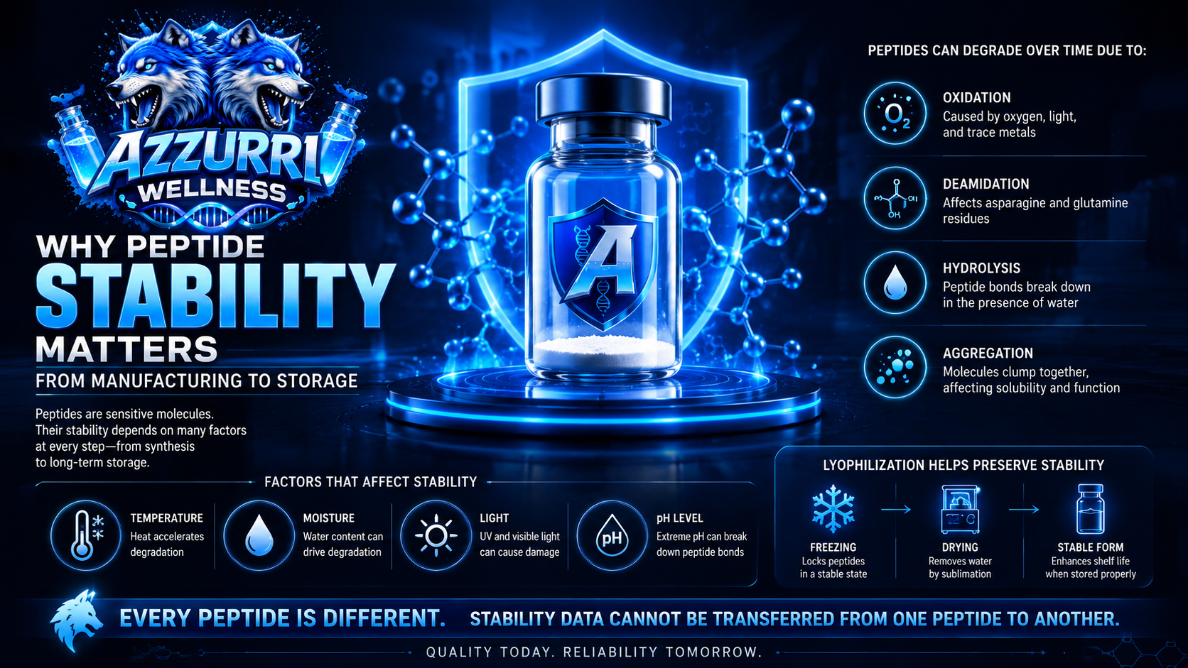 Why Peptide Stability Matters: From Manufacturing to Storage