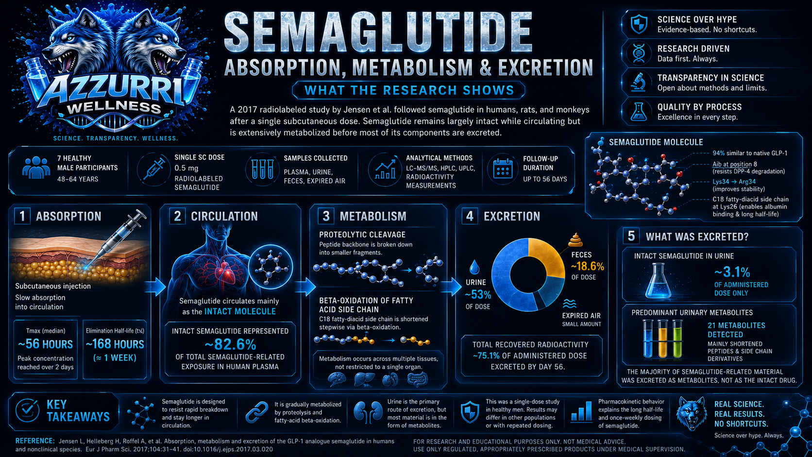 How Semaglutide Is Processed: Insights From a 2017 Study