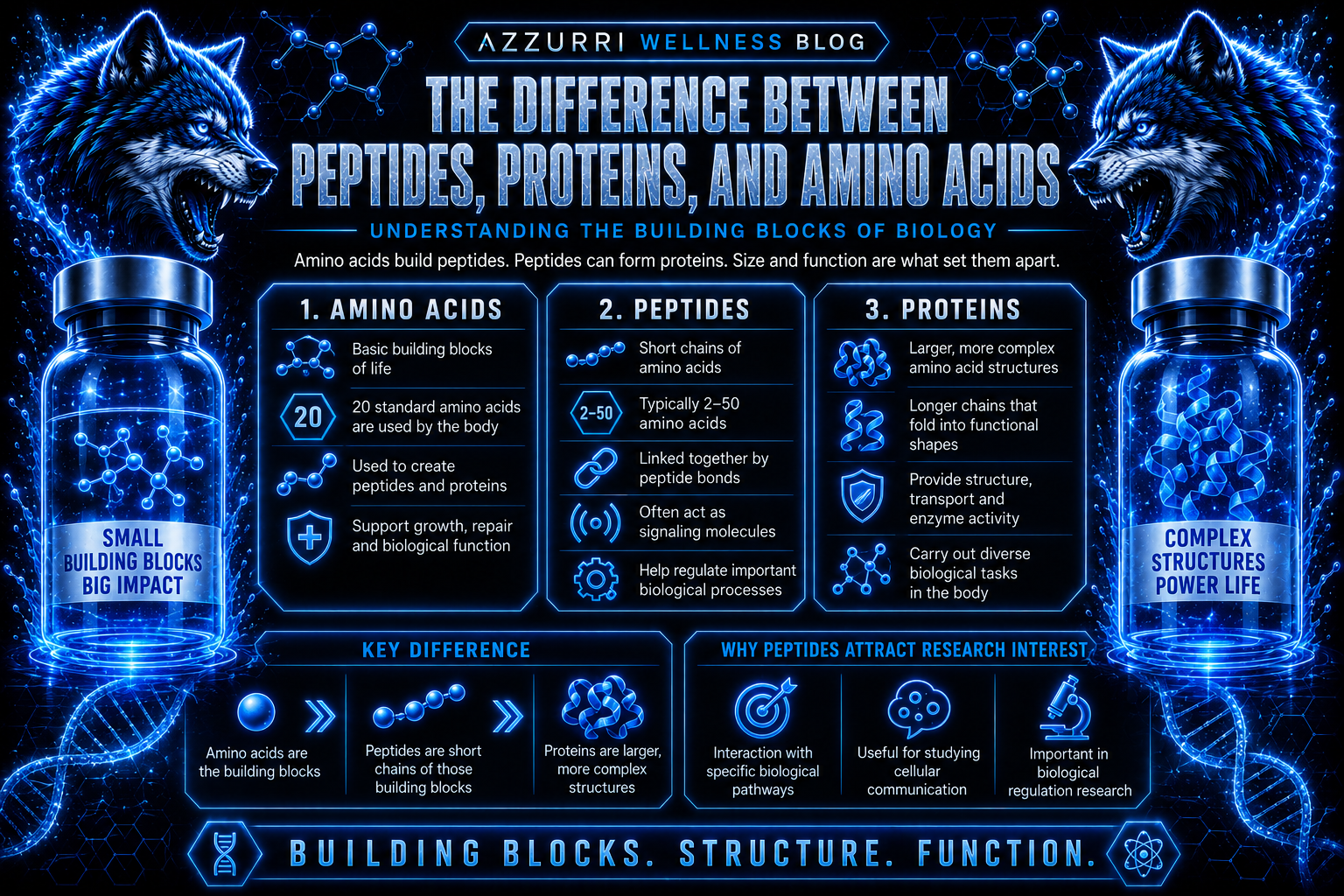Amino acids, peptides and proteins compared by chain length