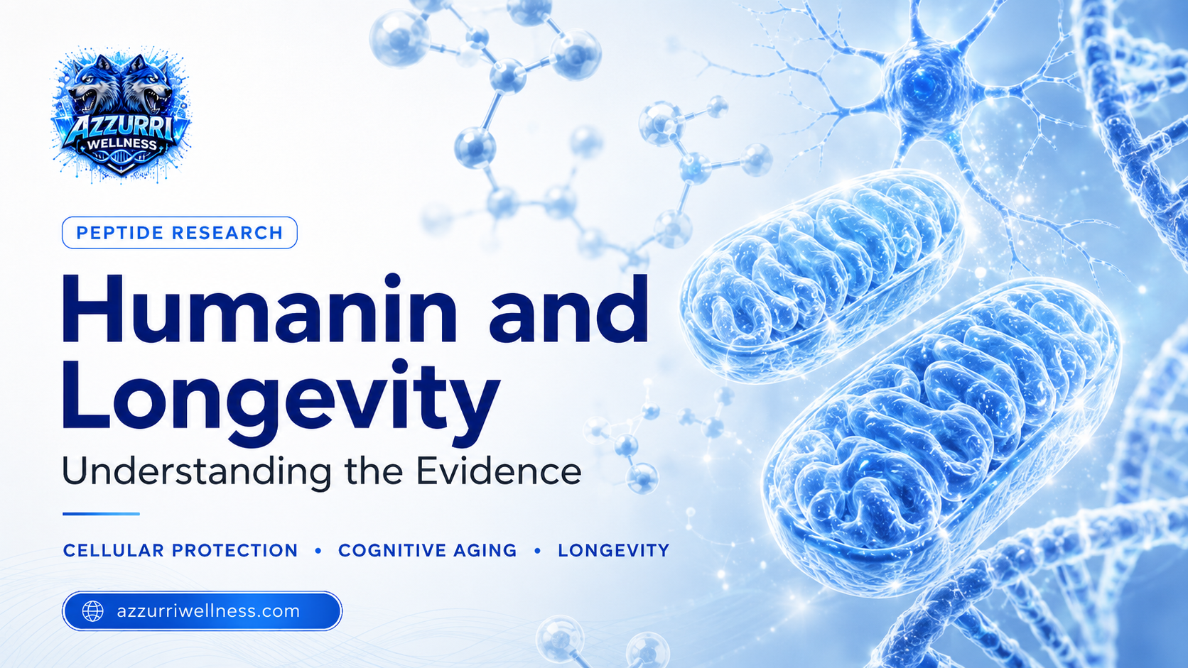 : Humanin and Longevity: Understanding the Evidence