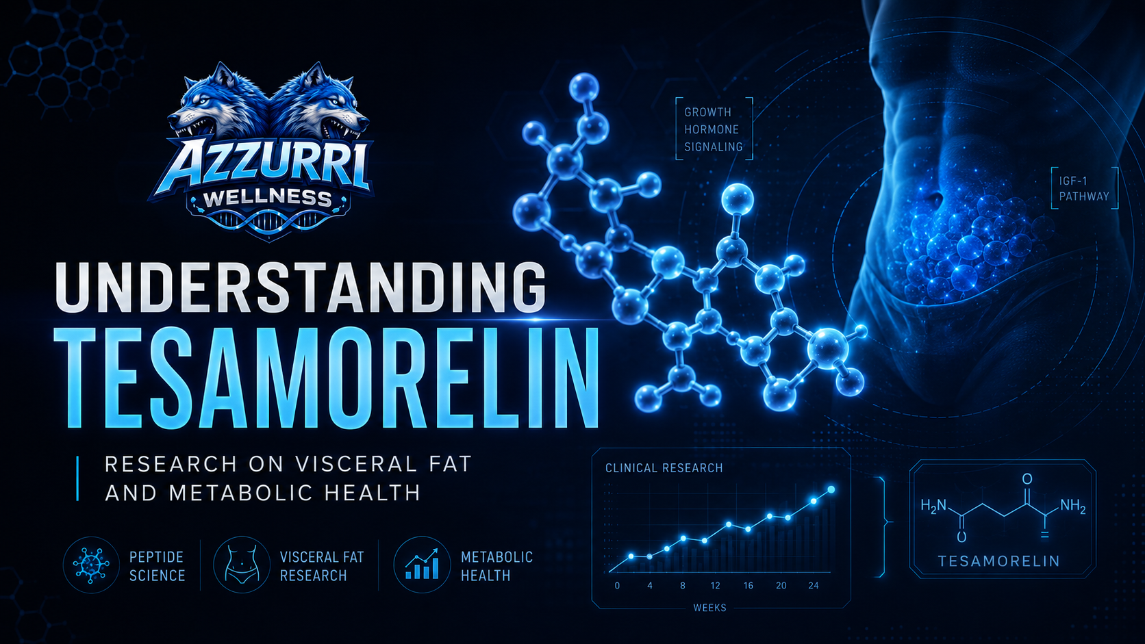 GHRH analog peptides and visceral-fat research